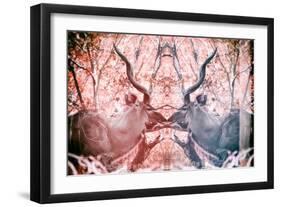 Awesome South Africa Collection - Reflection of Greater Kudu - Red & Dimgray-Philippe Hugonnard-Framed Photographic Print