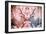 Awesome South Africa Collection - Reflection of Greater Kudu - Red & Dimgray-Philippe Hugonnard-Framed Photographic Print