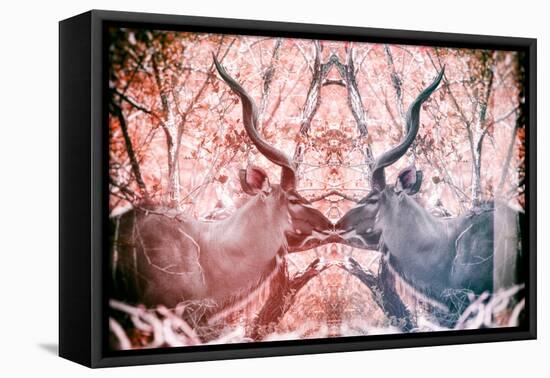 Awesome South Africa Collection - Reflection of Greater Kudu - Red & Dimgray-Philippe Hugonnard-Framed Stretched Canvas