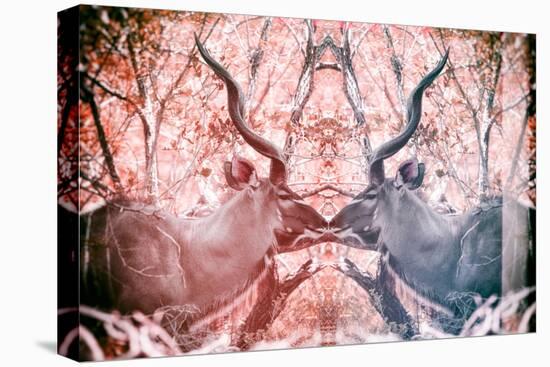 Awesome South Africa Collection - Reflection of Greater Kudu - Red & Dimgray-Philippe Hugonnard-Stretched Canvas