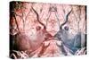 Awesome South Africa Collection - Reflection of Greater Kudu - Red & Dimgray-Philippe Hugonnard-Stretched Canvas