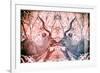 Awesome South Africa Collection - Reflection of Greater Kudu - Red & Dimgray-Philippe Hugonnard-Framed Photographic Print