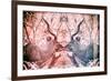 Awesome South Africa Collection - Reflection of Greater Kudu - Red & Dimgray-Philippe Hugonnard-Framed Photographic Print