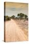 Awesome South Africa Collection - Road in the African Savannah I-Philippe Hugonnard-Stretched Canvas