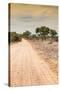 Awesome South Africa Collection - Road in the African Savannah I-Philippe Hugonnard-Stretched Canvas