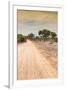 Awesome South Africa Collection - Road in the African Savannah I-Philippe Hugonnard-Framed Photographic Print