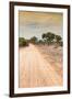 Awesome South Africa Collection - Road in the African Savannah I-Philippe Hugonnard-Framed Photographic Print