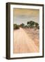 Awesome South Africa Collection - Road in the African Savannah I-Philippe Hugonnard-Framed Photographic Print