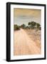 Awesome South Africa Collection - Road in the African Savannah I-Philippe Hugonnard-Framed Photographic Print