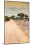 Awesome South Africa Collection - Road in the African Savannah I-Philippe Hugonnard-Mounted Photographic Print