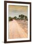 Awesome South Africa Collection - Road in the African Savannah I-Philippe Hugonnard-Framed Photographic Print