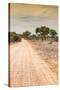 Awesome South Africa Collection - Road in the African Savannah I-Philippe Hugonnard-Stretched Canvas