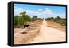 Awesome South Africa Collection - Road in the African Savannah-Philippe Hugonnard-Framed Stretched Canvas