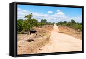 Awesome South Africa Collection - Road in the African Savannah-Philippe Hugonnard-Framed Stretched Canvas