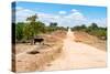 Awesome South Africa Collection - Road in the African Savannah-Philippe Hugonnard-Stretched Canvas