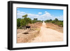 Awesome South Africa Collection - Road in the African Savannah-Philippe Hugonnard-Framed Photographic Print