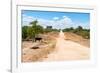 Awesome South Africa Collection - Road in the African Savannah-Philippe Hugonnard-Framed Photographic Print