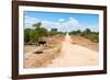 Awesome South Africa Collection - Road in the African Savannah-Philippe Hugonnard-Framed Photographic Print