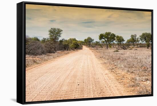 Awesome South Africa Collection - Road in the African Savannah-Philippe Hugonnard-Framed Stretched Canvas