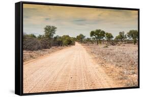 Awesome South Africa Collection - Road in the African Savannah-Philippe Hugonnard-Framed Stretched Canvas