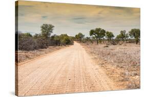 Awesome South Africa Collection - Road in the African Savannah-Philippe Hugonnard-Stretched Canvas