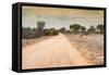 Awesome South Africa Collection - Road in the African Savannah-Philippe Hugonnard-Framed Stretched Canvas