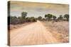 Awesome South Africa Collection - Road in the African Savannah-Philippe Hugonnard-Stretched Canvas