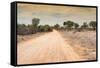 Awesome South Africa Collection - Road in the African Savannah-Philippe Hugonnard-Framed Stretched Canvas