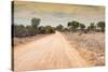 Awesome South Africa Collection - Road in the African Savannah-Philippe Hugonnard-Stretched Canvas