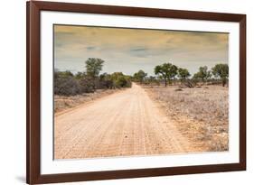 Awesome South Africa Collection - Road in the African Savannah-Philippe Hugonnard-Framed Photographic Print