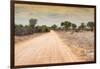 Awesome South Africa Collection - Road in the African Savannah-Philippe Hugonnard-Framed Photographic Print