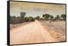 Awesome South Africa Collection - Road in the African Savannah-Philippe Hugonnard-Framed Stretched Canvas