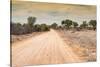 Awesome South Africa Collection - Road in the African Savannah-Philippe Hugonnard-Stretched Canvas