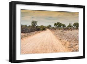 Awesome South Africa Collection - Road in the African Savannah-Philippe Hugonnard-Framed Photographic Print