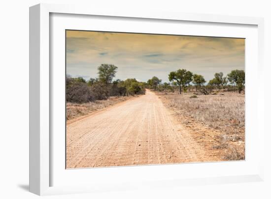 Awesome South Africa Collection - Road in the African Savannah-Philippe Hugonnard-Framed Photographic Print