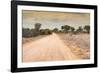 Awesome South Africa Collection - Road in the African Savannah-Philippe Hugonnard-Framed Photographic Print