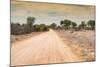 Awesome South Africa Collection - Road in the African Savannah-Philippe Hugonnard-Mounted Photographic Print