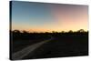 Awesome South Africa Collection - Road in the Savannah at Sunset-Philippe Hugonnard-Stretched Canvas