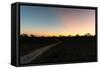 Awesome South Africa Collection - Road in the Savannah at Sunset-Philippe Hugonnard-Framed Stretched Canvas