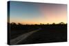 Awesome South Africa Collection - Road in the Savannah at Sunset-Philippe Hugonnard-Stretched Canvas