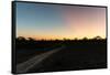 Awesome South Africa Collection - Road in the Savannah at Sunset-Philippe Hugonnard-Framed Stretched Canvas