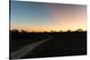 Awesome South Africa Collection - Road in the Savannah at Sunset-Philippe Hugonnard-Stretched Canvas