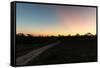 Awesome South Africa Collection - Road in the Savannah at Sunset-Philippe Hugonnard-Framed Stretched Canvas
