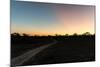 Awesome South Africa Collection - Road in the Savannah at Sunset-Philippe Hugonnard-Mounted Photographic Print