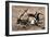 Awesome South Africa Collection - Safari Bone-Philippe Hugonnard-Framed Photographic Print