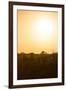 Awesome South Africa Collection - Savanna at Sunrise I-Philippe Hugonnard-Framed Photographic Print