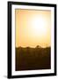 Awesome South Africa Collection - Savanna at Sunrise I-Philippe Hugonnard-Framed Photographic Print