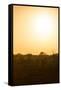 Awesome South Africa Collection - Savanna at Sunrise I-Philippe Hugonnard-Framed Stretched Canvas