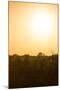 Awesome South Africa Collection - Savanna at Sunrise I-Philippe Hugonnard-Mounted Photographic Print