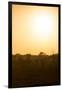 Awesome South Africa Collection - Savanna at Sunrise I-Philippe Hugonnard-Framed Photographic Print